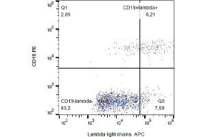 Flow cytometry analysis (surface staining) of human peripheral blood with anti-human lambda light chain (4C2) APC. (Lambda-IgLC antibody  (APC))