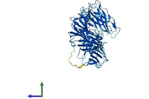 AlphaFold protein structure predicition of Human Recombinant DBH Protein, UniprotID P09172