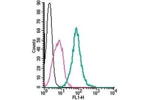 Cell surface detection of GPR55 in live intact mouse J774 macrophage cells: (black line) Cells. (GPR55 antibody  (Extracellular) (FITC))