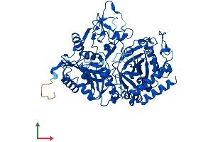 Protein Structure (PS) image for phosphoenolpyruvate Carboxykinase 1 (Soluble) (PCK1) (AA 1-622) protein (His tag) (ABIN7550558)