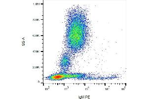 Flow cytometry analysis (surface staining) of human peripheral blood cells with anti-human IgM (CH2) PE. (Mouse anti-Human IgM Antibody (PE))