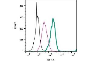 Cell surface detection of AXL by direct flow cytometry in live intact mouse  microglia cells: + Rabbit IgG Isotype Control-FITC (ABIN7582044).