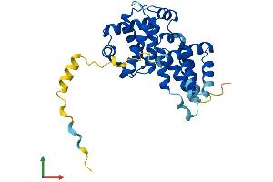 AlphaFold protein structure predicition of Human Recombinant CCNG1 Protein, UniprotID P51959