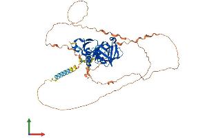 Protein Structure (PS) image for Docking Protein 7 (DOK7) (AA 1-504) protein (His tag) (ABIN7556993)