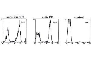 Flow cytometry data in permeabilized and fixed transfected cells using anti-Bim, mAb (3C5) , anti-EE (positive control) or secondary antibody alone (negative control). (BimS, EL, L (AA 20-40) antibody)