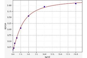 UNC5B ELISA Kit