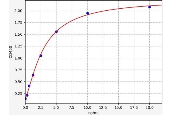 UNC5B ELISA Kit