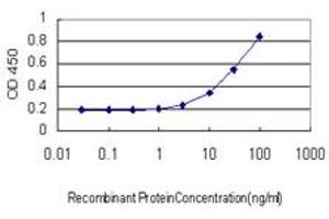 Detection limit for recombinant GST tagged DLD is approximately 1ng/ml as a capture antibody. (DLD antibody  (AA 1-509))