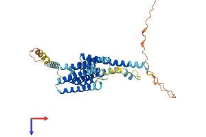 AlphaFold protein structure predicition of Mouse Recombinant Tmem26 Protein, UniprotID Q3UP23 (TMEM26 Protein (AA 1-366) (His tag))