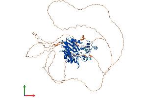 AlphaFold protein structure predicition of Mouse Recombinant Itpkc Protein, UniprotID Q7TS72