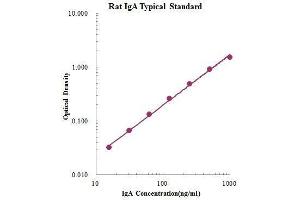 ELISA image for IgA ELISA Kit (ABIN3198434)