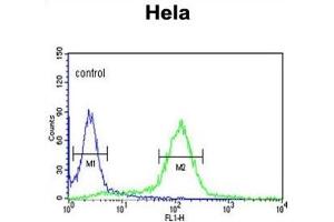Flow Cytometry (FACS) image for anti-Stress-Induced-phosphoprotein 1 (STIP1) antibody (ABIN3001648) (STIP1 antibody)