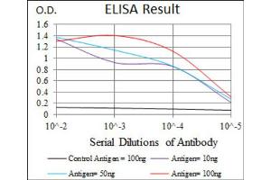 Red: Control Antigen (100ng) ; Purple: Antigen (10ng) ; Green: Antigen (50ng) ; Blue: Antigen (100ng).