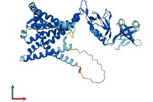 AlphaFold protein structure predicition of Mouse Recombinant Mbtps2 Protein, UniprotID Q8CHX6 (MBTPS2 Protein (AA 1-515) (His tag))