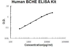 Human BCHE PicoKine ELISA Kit standard curve (Butyrylcholinesterase ELISA Kit)