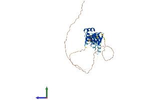 AlphaFold protein structure predicition of Human Recombinant LHX6 Protein, UniprotID Q9UPM6