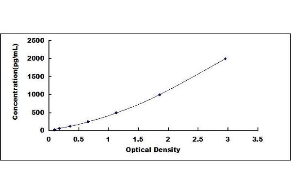 BMP4 ELISA Kit