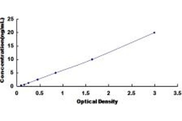 FMO1 ELISA Kit