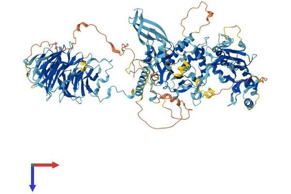 PAN2 Protein (AA 1-1200) (His tag)