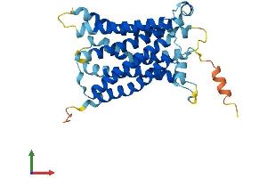 AlphaFold protein structure predicition of Mouse Recombinant Mrgpra8 Protein, UniprotID Q91ZC4 (Mrgpra8 Protein (AA 1-305) (His tag))