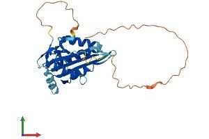 AlphaFold protein structure predicition of Human Recombinant MAF1 Protein, UniprotID Q9H063 (MAF1 Protein (AA 1-256) (His tag))