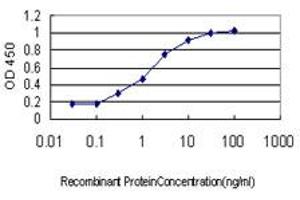 ELISA image for anti-serine/threonine Kinase 4 (STK4) (AA 1-40) antibody (ABIN598949) (STK4 antibody  (AA 1-40))