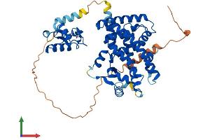 AlphaFold protein structure predicition of Human Recombinant PPARA Protein, UniprotID Q07869 (PPARA Protein (AA 1-468) (His tag))