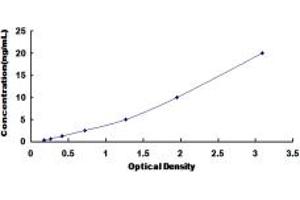 OSCP1 ELISA Kit