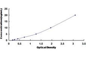 Typical standard curve (OSCP1 ELISA Kit)