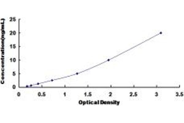 OSCP1 ELISA Kit
