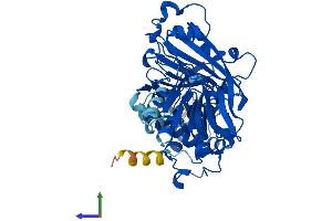 AlphaFold protein structure predicition of Mouse Recombinant Gdi2 Protein, UniprotID Q61598 (GDI2 Protein (AA 1-445) (His tag))
