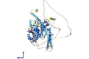 AlphaFold protein structure predicition of Mouse Recombinant Morc2b Protein, UniprotID Q8C5W4 (Microrchidia 2B Protein (MORC2B) (AA 1-1022) (His tag))