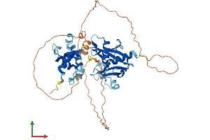 Protein Structure (PS) image for DCP2 Decapping Enzyme Homolog (DCP2) (AA 1-422) protein (His tag) (ABIN7564962)