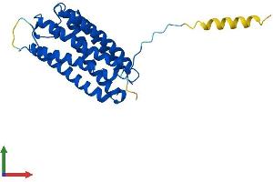 AlphaFold protein structure predicition of Mouse Recombinant Tmem150c Protein, UniprotID Q8C8S3 (TMEM150C Protein (AA 1-249) (His tag))