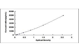 Typical standard curve (p53 ELISA Kit)