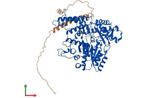 Protein Structure (PS) image for Glutamate Decarboxylase 1 (Brain, 67kDa) (GAD1) (AA 1-594) protein (His tag) (ABIN7547011)