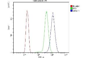 Flow Cytometry analysis of HL-60 cells using anti-GRSF1 antibody (ABIN7599803). (GRSF1 antibody  (AA 119-405))