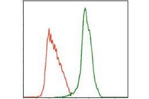 Flow cytometric analysis of MOLT4 cells using MPL mouse mAb (green) and negative control (red). (MPL antibody)