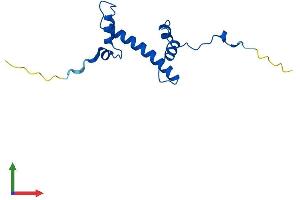 AlphaFold protein structure predicition of Mouse Recombinant H2aj Protein, UniprotID Q8R1M2 (H2AFJ Protein (AA 1-129) (His tag))
