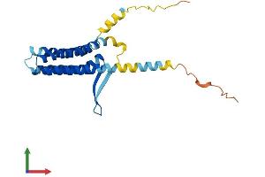 AlphaFold protein structure predicition of Human Recombinant TVP23A Protein, UniprotID A6NH52 (TVP23A Protein (AA 1-213) (His tag))