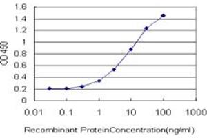 Detection limit for recombinant GST tagged T is approximately 0. (T Brachyury Protein (AA 222-320) antibody)