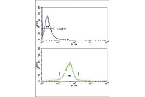 Flow Cytometry (FACS) image for anti-Glutathione S-Transferase mu 1 (GSTM1) antibody (ABIN3002864) (GSTM1 antibody)