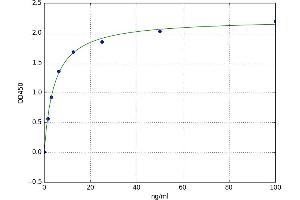 A typical standard curve