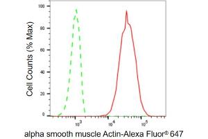 Flow cytometric analysis of alpha smooth muscle Actin expression in HT- cells using alpha smooth muscle Actin antibody (ABIN7797464), 1:2,000). (Recombinant Smooth Muscle Actin antibody)