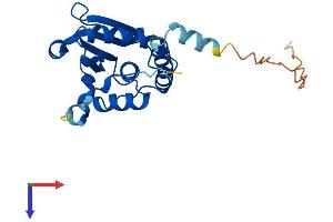 AlphaFold protein structure predicition of Mouse Recombinant Styx Protein, UniprotID Q60969 (STYX Protein (AA 1-223) (His tag))