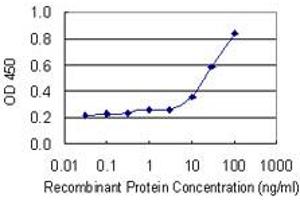 Detection limit for recombinant GST tagged SAMSN1 is 3 ng/ml as a capture antibody. (SAMSN1 antibody  (AA 1-373))