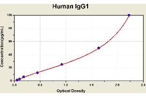 Diagramm of the ELISA kit to detect Human 1 gG1with the optical density on the x-axis and the concentration on the y-axis. (IgG1 ELISA Kit)