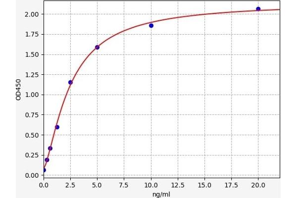 NDUFS7 ELISA Kit