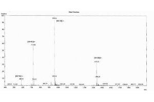 Image no. 1 for Urocortin 2 (UCN2) peptide (Ovalbumin) (ABIN5666403)