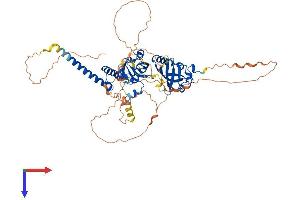 AlphaFold protein structure predicition of Mouse Recombinant Npas1 Protein, UniprotID P97459 (NPAS1 Protein (AA 1-594) (His tag))
